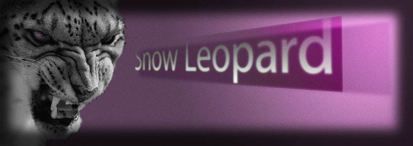 snow-leopard