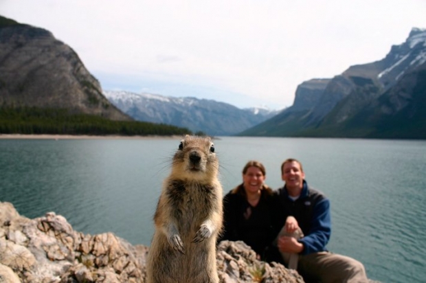 small_Squirrel-photobombing